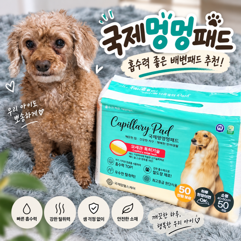 흡수력 좋은 강아지 배변패드 추천 국제멍멍패드 발도장 안 찍히는 패드 사용 후기 흡수력 ....