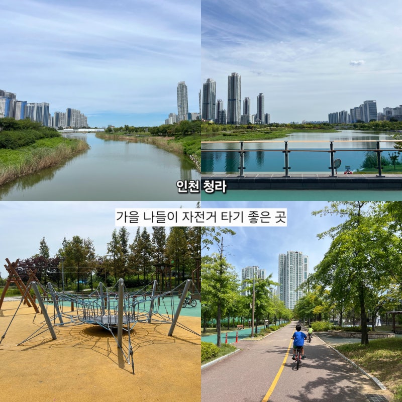 인천 가볼만한곳 청라 호수공원 도서관 놀거리