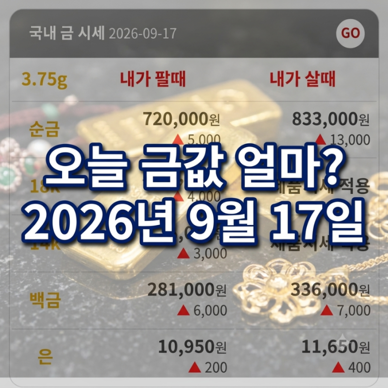 오늘 금값 얼마? 9월 17일 순금·18K·14K 금시세 총정리