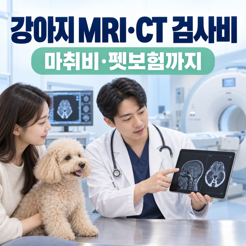 강아지 MRI·CT 검사비 얼마일까? 차이와 마취비·펫보험 보장 정리