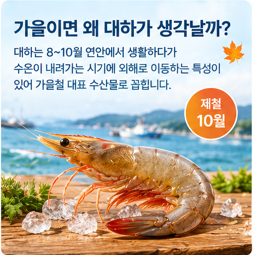 가을이면 더 헷갈린다! 대하인 줄 알았는데 흰다리새우? 딱 보면 구별하는 법