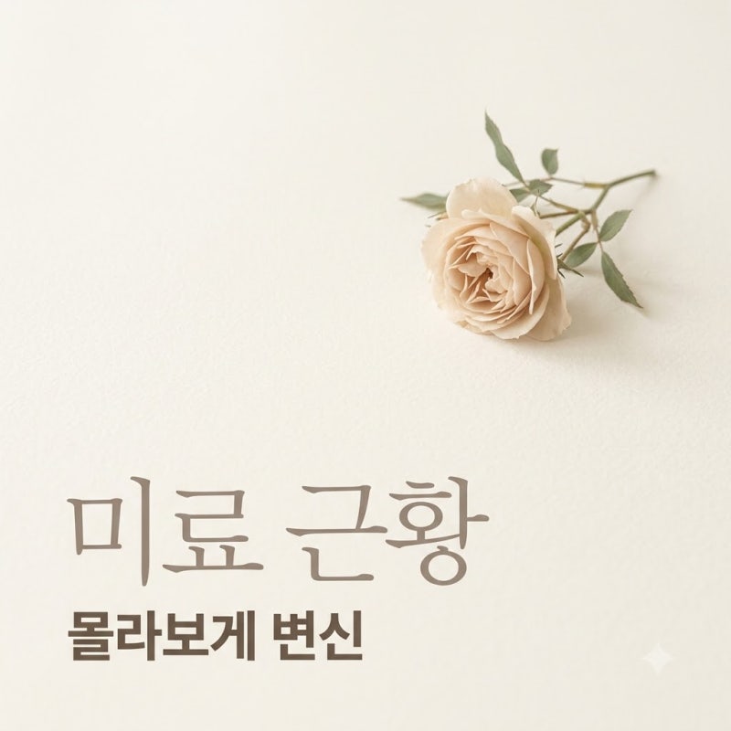 "송혜교인 줄 알았네.." 브아걸 미료, 몰라보게 달라진 근황에 팬들 '깜짝'
