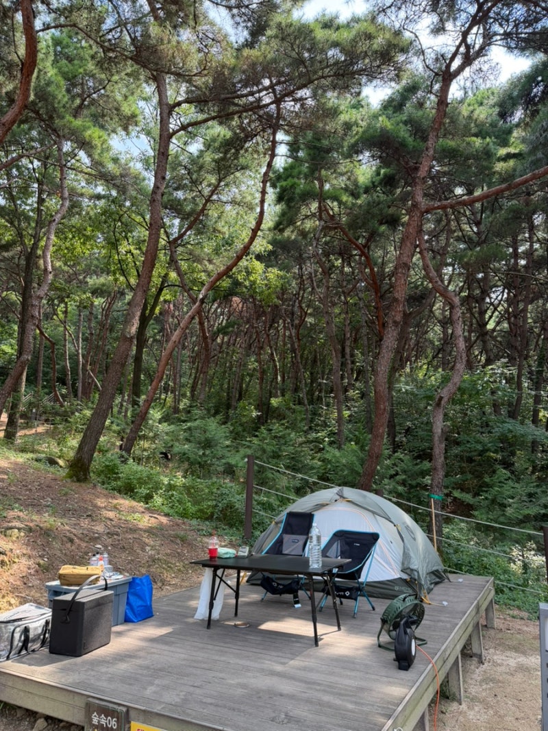대구 캠핑장 달서 별빛 캠핑장 숲속 6번