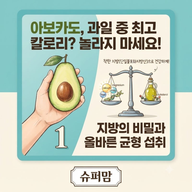 아보카도 칼로리 높아서 고민이신가요? 영양성분부터 똑똑한 섭취법까지 총정리