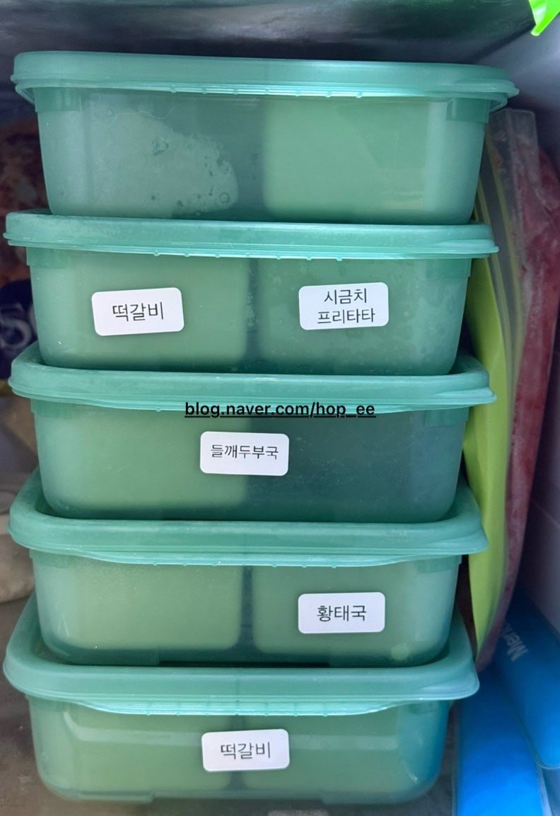 유아식 냉동용기 내돈내산｜이지앤프리 사용후기
