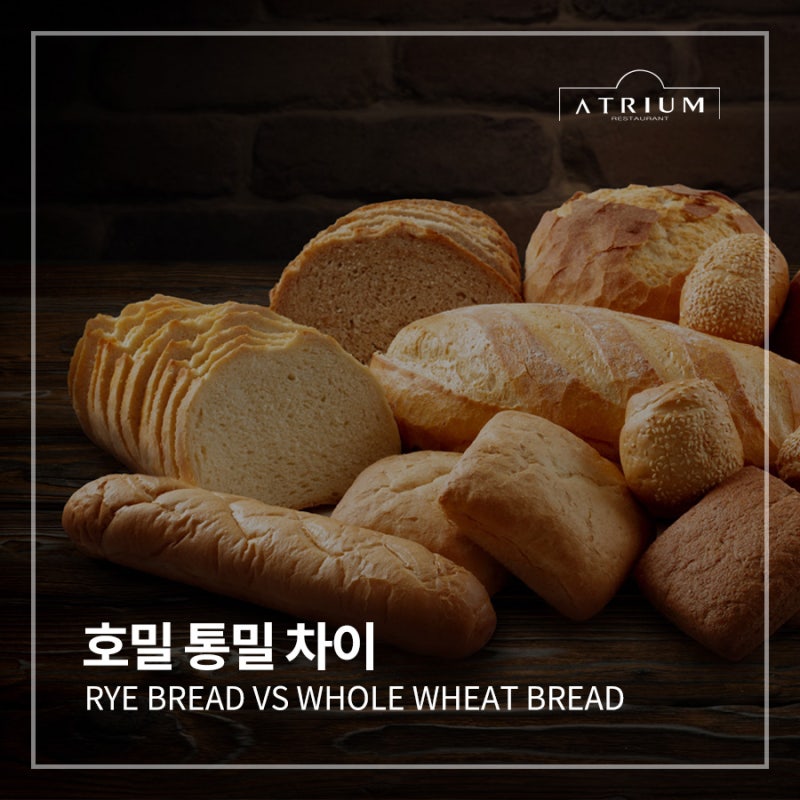 호밀 통밀 차이 혈당 뭐가 더 건강할까? 다이어트 빵 추천