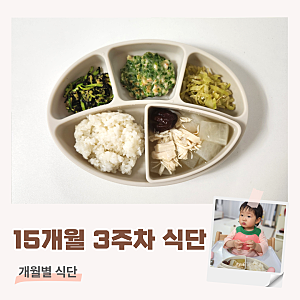 15개월 유아식 식단 돌아기 초간단 식판식 (애호박김볶음, 양배추볶음, 오징어부추전)