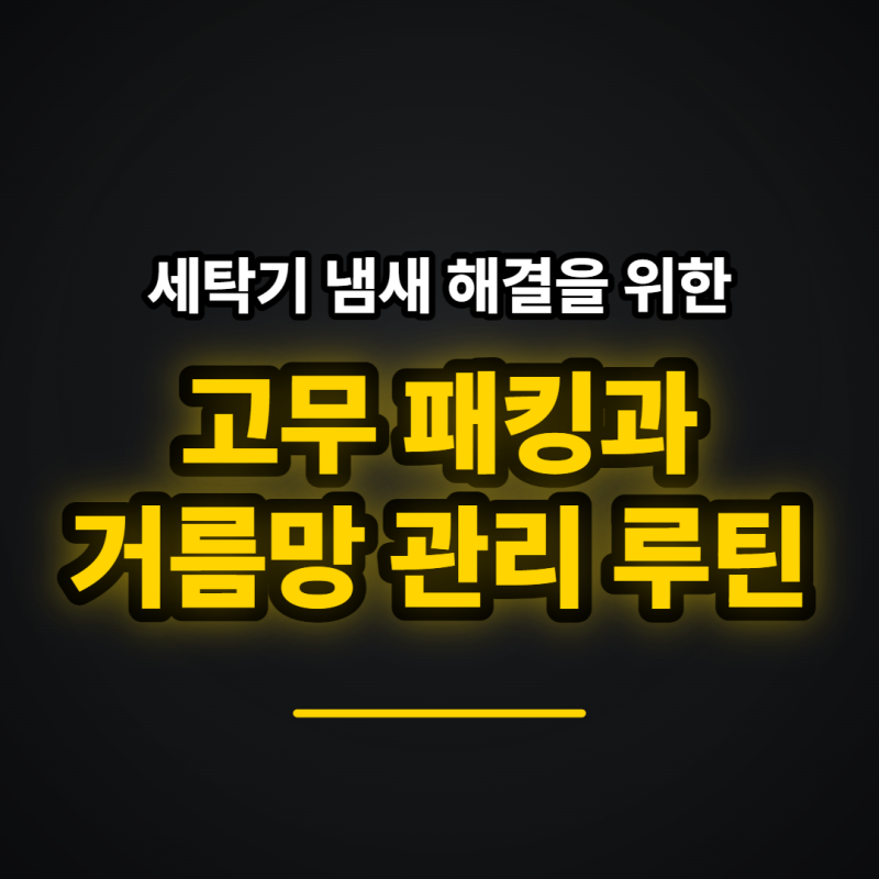 세탁기 냄새 제거 방법, 고무 패킹과 거름망 관리 루틴