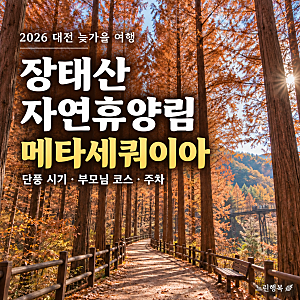 2026 장태산자연휴양림 단풍 시기｜메타세쿼이아 절정 예상·부모님·아이 코스·주차 총정리