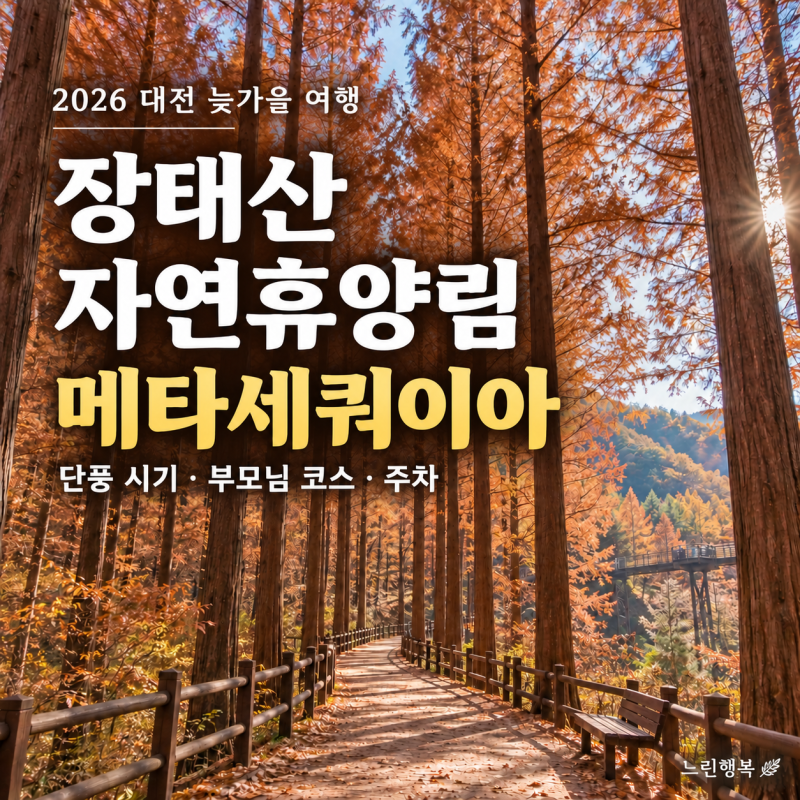 2026 장태산자연휴양림 단풍 시기｜메타세쿼이아 절정 예상·부모님·아이 코스·주차 총정리