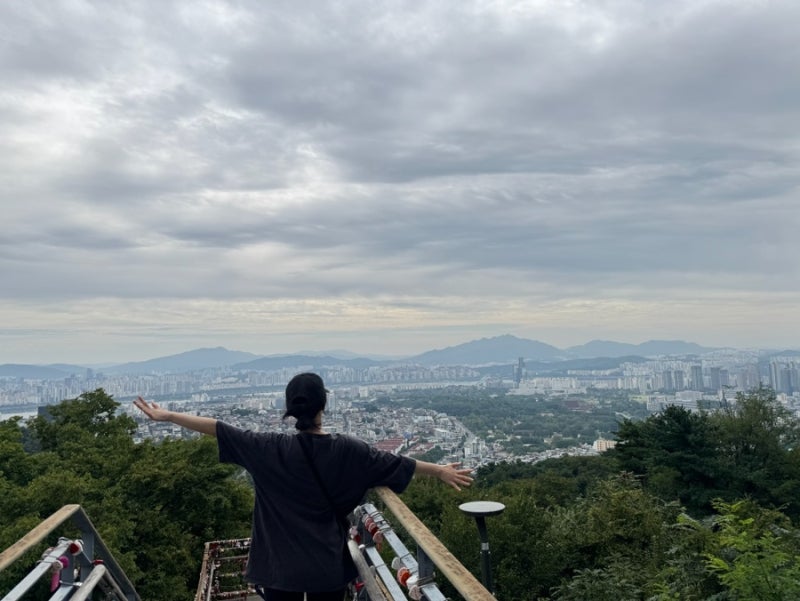 계단 없는 남산 가을 산책 코스 추천 (케이블카 버스 하산 방법 비교)