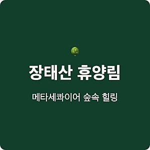 대전 장태산 자연휴양림 예약 방법 숲속의집 데크 요금 완벽 정리
