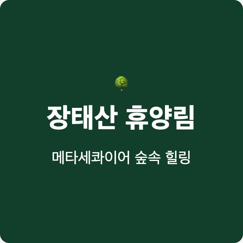 대전 장태산 자연휴양림 예약 방법 숲속의집 데크 요금 완벽 정리