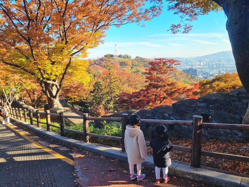 남산타워 전망대 주차장 N서울타워 단풍 등산코스