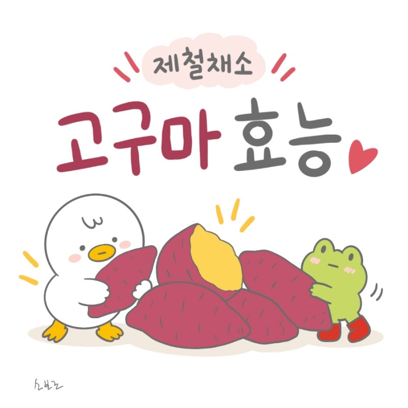 고구마 효능과 보관법 , 싹 난 고구마 먹어도 될까?