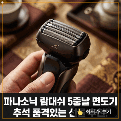 파나소닉 ES-PV3B 람대쉬 추석 선물 추천 5중날 팜인