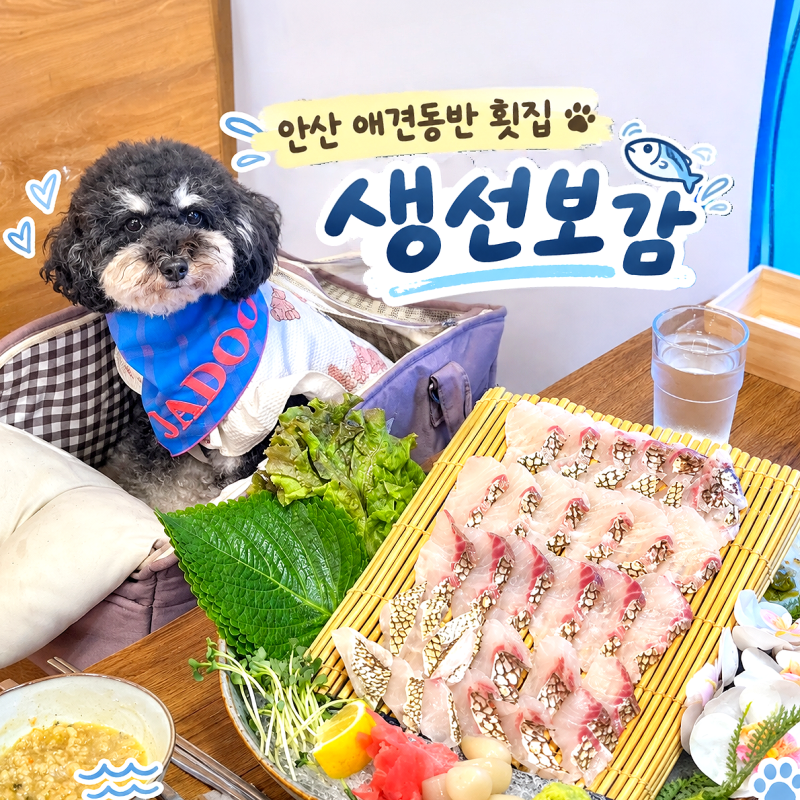 안산 고잔동 횟집｜애견동반 식당 스끼다시 잘 나오는 맛집 [생선보감] 강아지랑 숙성회 후....
