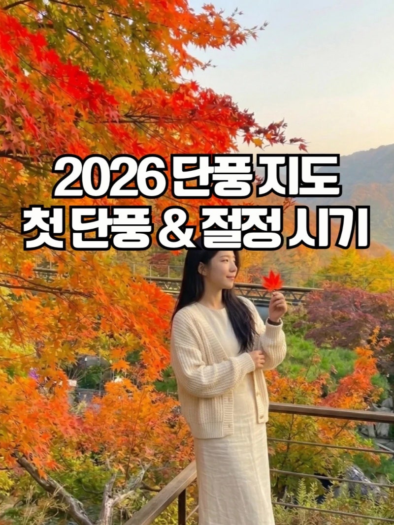 2026 단풍시기 언제? 절정 예상일 맞춰 가기 좋은 명소 축제 지도 BEST 화담숲 설악산 내장산 경....