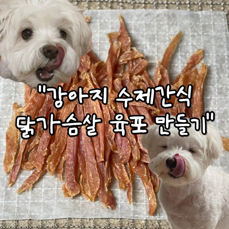 강아지 닭가슴살 육포 만들기｜식품건조기로 만드는 100% 수제간식