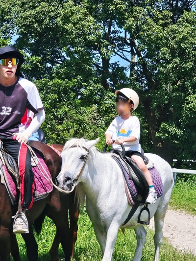 제주도 아이와 가볼만한곳, 3박 4일 여행코스 [3일차: 더마파크 + 금능해수욕장 + 제주기념품....