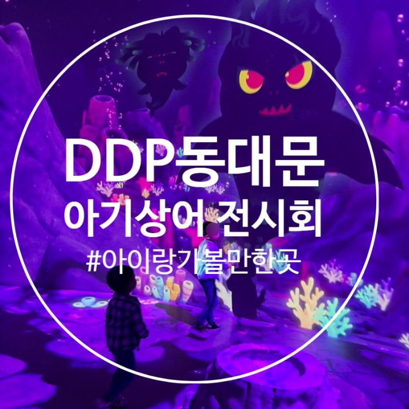 DDP 동대문 아이와 가볼만한곳, 아기상어 전시 체험 꿀팁과 솔직 후기
