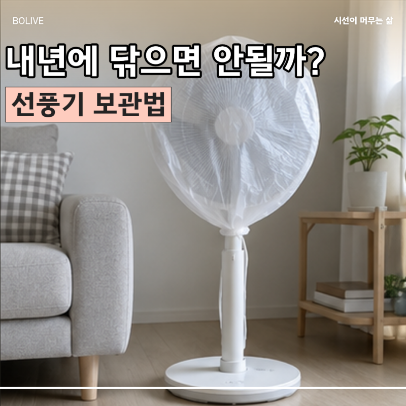 “먼지는 내년에 닦으면 되지 않을까?” 선풍기 넣기 전에 한 번 청소해야 하는 이유