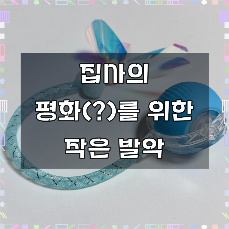 MAAH 쥐돌이, 우리 집 고양이 최애 장난감이 되기까지
