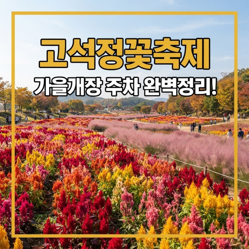 철원 고석정 꽃축제 2026 가을 개장 기간 총정리! 무료 주차와 가는길 꿀팁