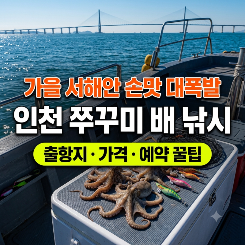 인천 쭈꾸미 배 낚시 가능한 곳 예약방법 후기 총정리(+남항, 연안부두, 비용, 물때 초보 꿀)