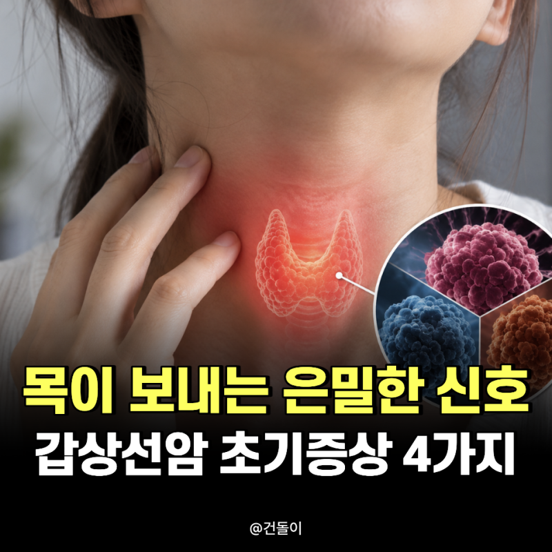"목이 보내는 은밀한 신호.." 갑상선암 초기증상 4가지 특징