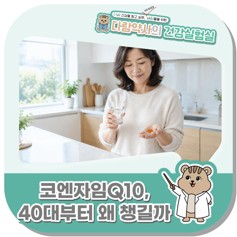 코엔자임Q10 효능, 40대부터 자꾸 이름이 나오는 이유