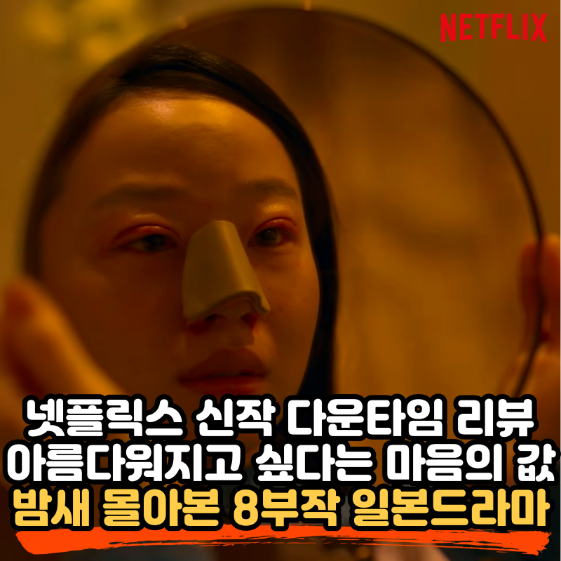 넷플릭스 다운타임(Plastic Beauty) 리뷰, 미용성형의 빛과 그림자를 그린 일본 드라마 8부작 총....