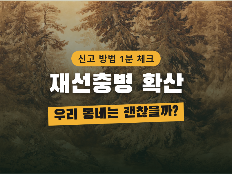 소나무재선충병 3차 대발생, 신고는 어디로