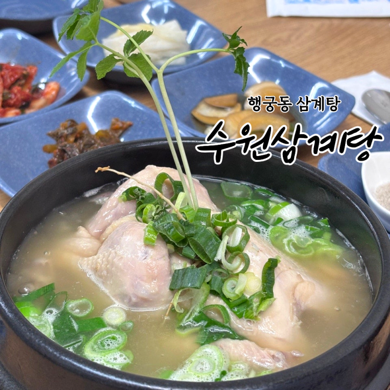 행궁동 삼계탕 맛집 수원삼계탕 40년 노포 후기