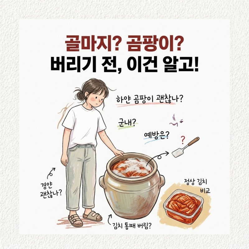 김치 골마지 곰팡이인 줄 알고 통째 버림 하얀 곰팡이 먹어도 되나요 제거 예방 김치 군내 제....
