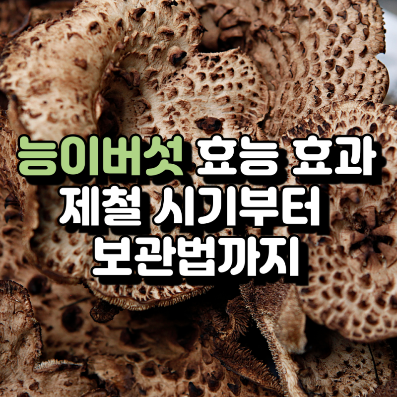 자연산 능이버섯 효능 효과, 먹는법, 보관법, 부작용 한번에 알아보기