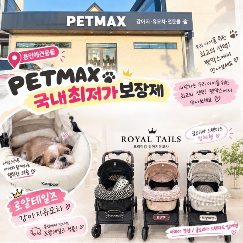 로얄테일즈 글로리아 스탠드 일체형 펫막스에서 직접 보고 시승한 후기 용인강아지유모차 ....
