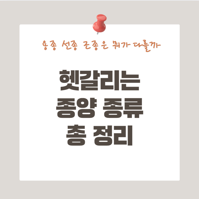 용종·선종·근종은 뭐가 다를까? 헷갈리는 종양 종류 총정리
