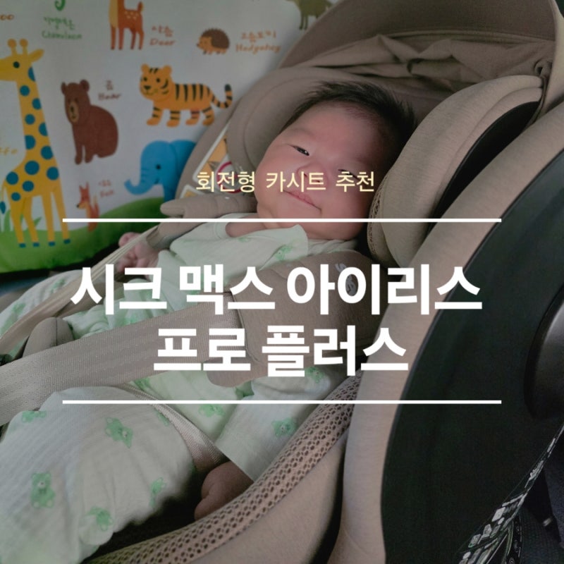 시크 맥스 아이리스 프로 플러스 | 내돈내산 솔직후기! 신생아 회전형 카시트 추천