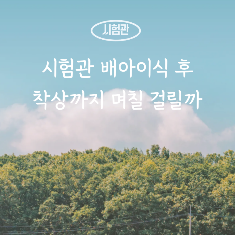 시험관 배아이식 후 착상까지 며칠 걸릴까｜3일배아 5일배아 착상시기
