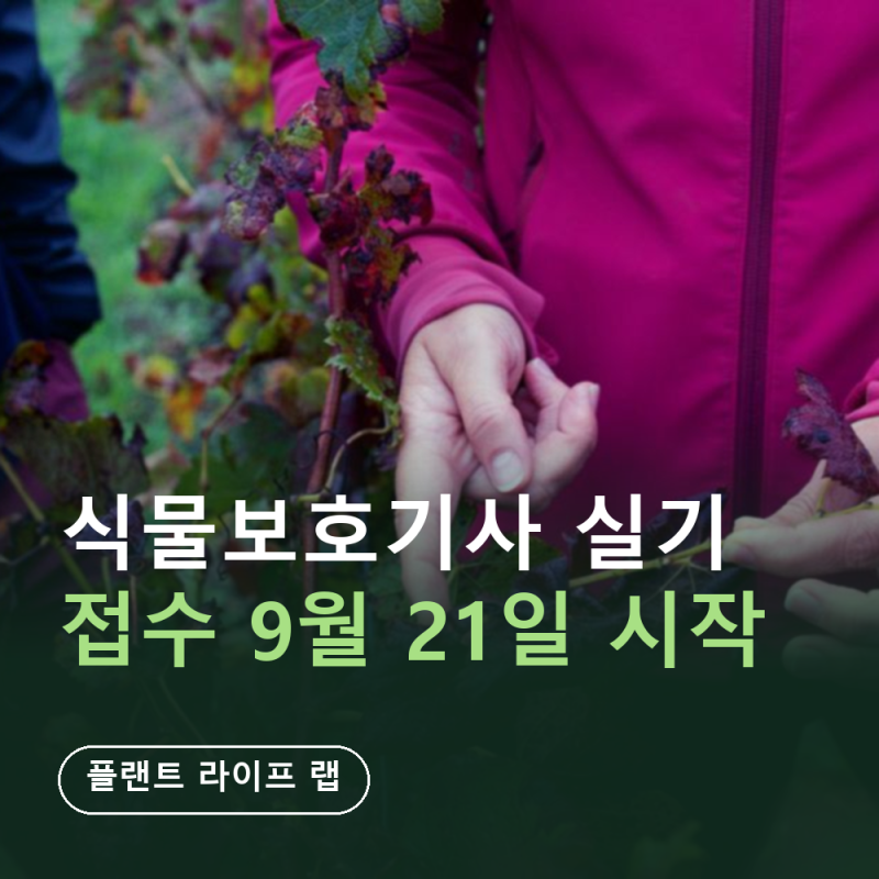 응시자격서류 제출 9월 18일 마감, 안 내면 필기합격 무효 (큐넷 제출 방법·온라인/우편·실기....