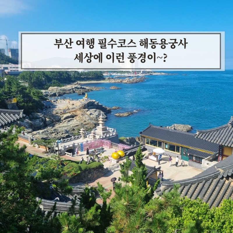 부산 여행 코스 추천 기장 해동용궁사 세상에 이런 풍경이!?
