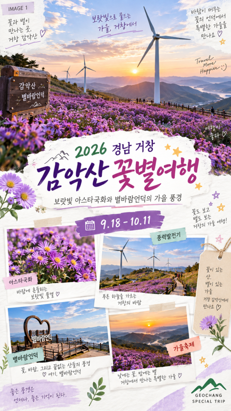 2026 경남 거창 감악산 꽃별여행｜보랏빛 아스타국화와 별바람언덕 가을축제 총정리