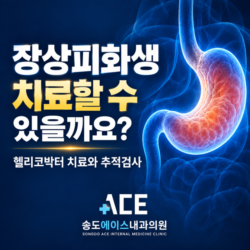 장상피화생 치료, 약으로 없어질까요? 헬리코박터와 위내시경 추적검사
