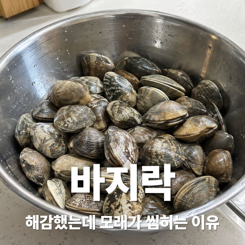 바지락 해감하는 방법 모래가 계속 씹히는 이유는 ?