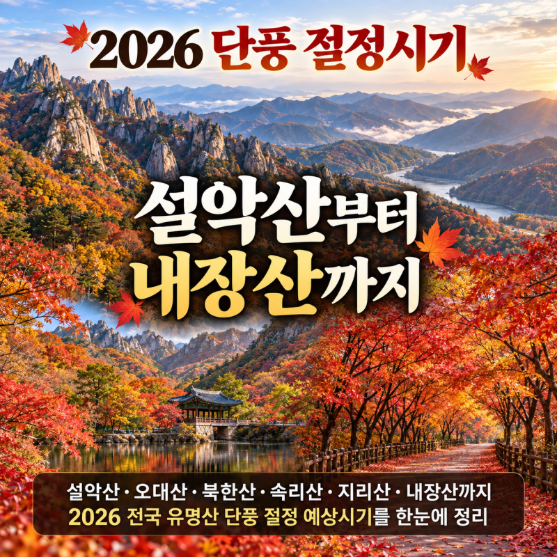 2026 단풍 절정시기 언제일까 설악산부터 내장산까지 전국 유명산 단풍명소 정리