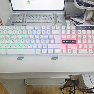다이소 키보드 추천｜술 쏟고 급하게 산 5,000원 모노큐브 USB 유선 키보드, 타건감 의외로 괜....