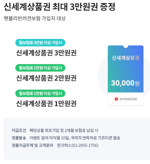 시고르자브르종 2마리 맘 펫보험 보험사별 알아보기!!!!후기