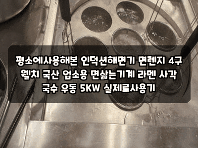 평소에사용해본 인덕션해면기 면렌지 4구 웰치 국산 업소용 면삶는기계 라멘 사각 국수 우동....