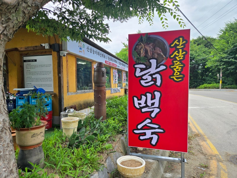 천안 광덕산 계곡 맛집 백숙 물놀이후 산삼백숙까지 즐겨요